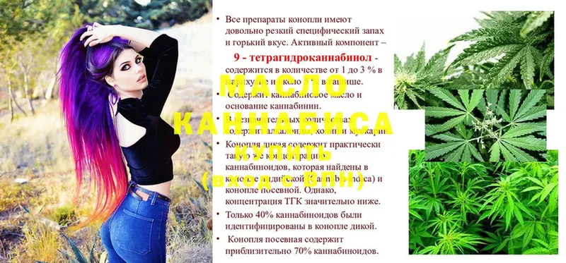 Дистиллят ТГК THC oil Тарко-Сале